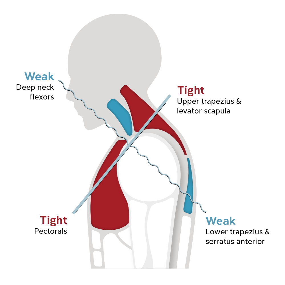 Can an office chair change your posture? The secrets to sitting up ...