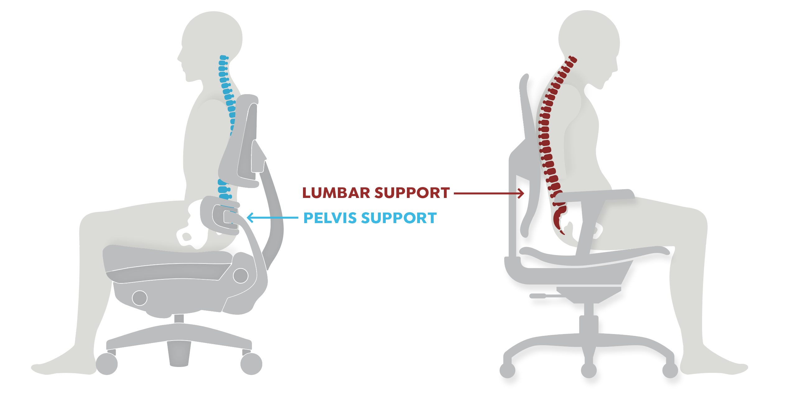 Lumbar vs Pelvis Hero Image